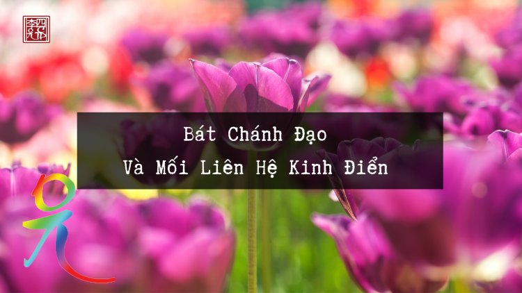 Bát Chánh Đạo Và Mối Liên Hệ Kinh Điển