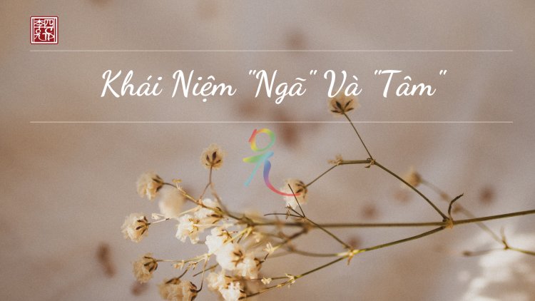Khái Niệm Ngã và Tâm