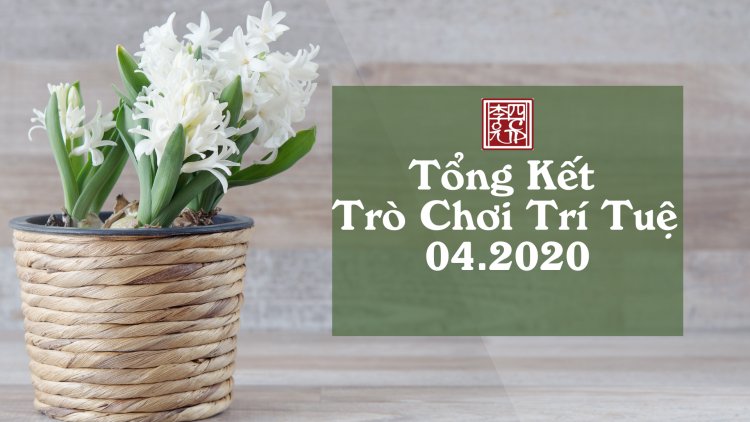 Tổng Kết Chủ Đề: Giáo Tông Và Tâm Tông