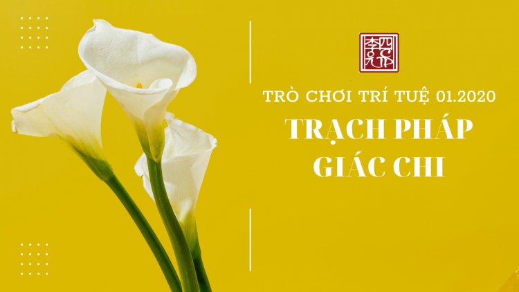 Chủ Đề: Trạch Pháp Giác Chi