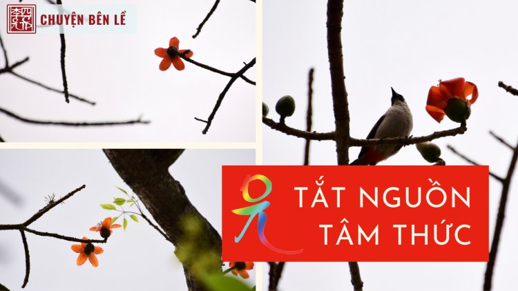 Tắt Nguồn Tâm Thức