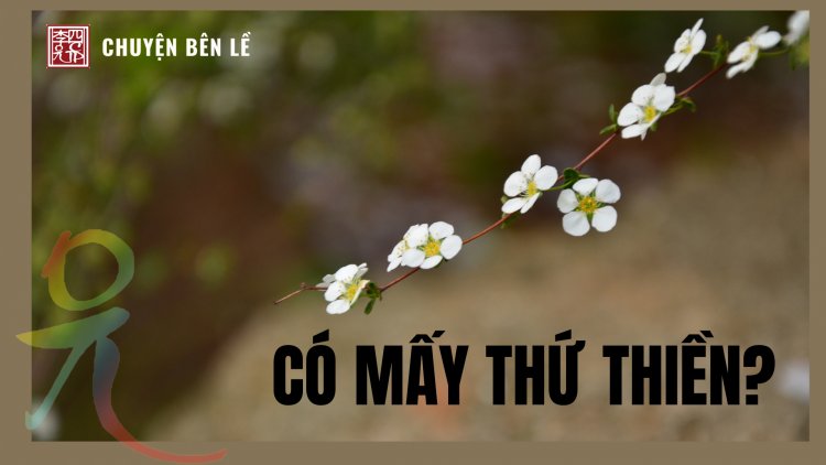 Có Mấy Thứ Thiền?