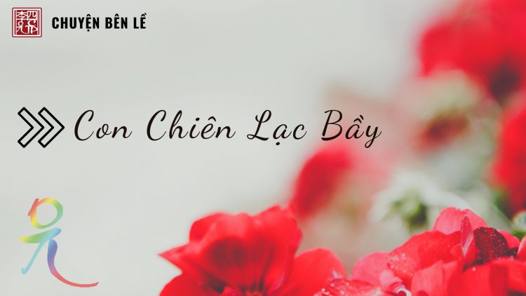 Con Chiên Lạc Bầy