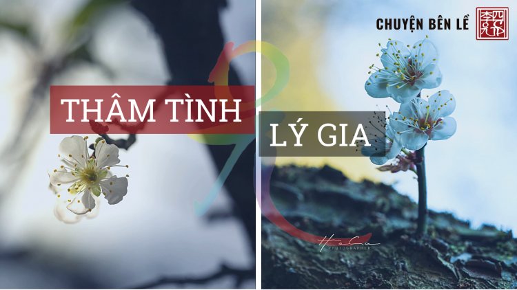 Thâm Tình Lý Gia