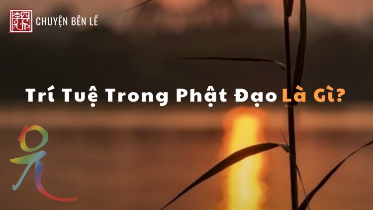 Trí Tuệ Trong Phật Đạo Là Gì?