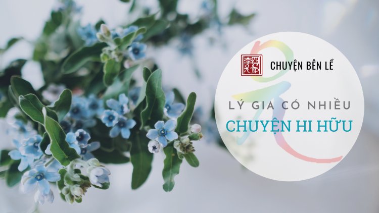 Lý Gia Có Nhiều Chuyện Hi hữu !!!