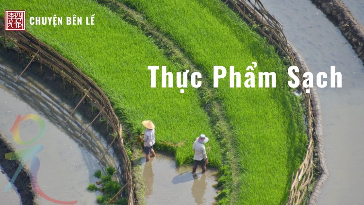 Thực Phẩm Sạch