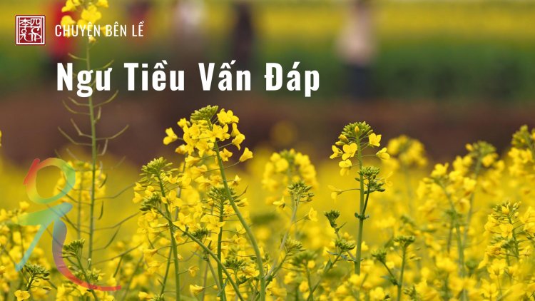 Ngư Tiều Vấn Đáp