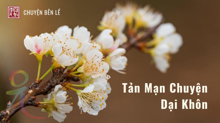 Tản Mạn Chuyện Dại Khôn