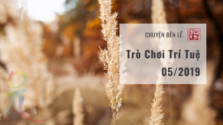 Trò Chơi Trí Tuệ - 05/2019