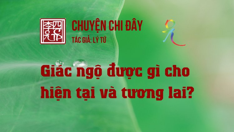 Giác Ngộ Được Gì Cho Hiện Tại Và Tương Lai? 