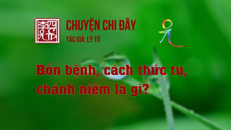 Bốn Bệnh, Cách Thức Tu, Chánh Niệm Là Gì?
