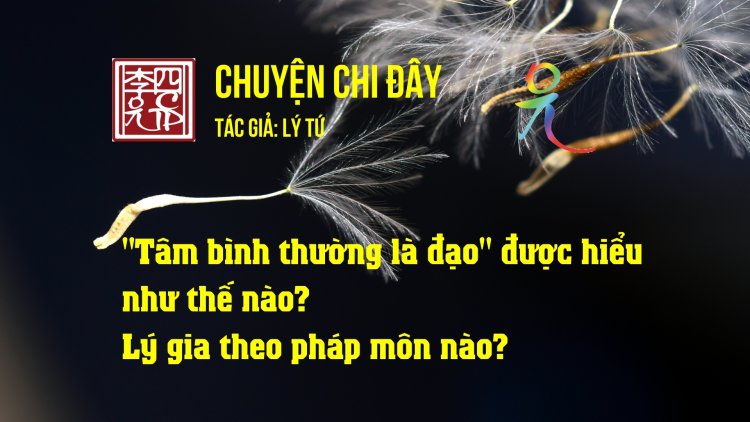 Tâm Bình Thường Là Đạo. Được Hiểu Như Thế Nào? Lý Gia Theo Pháp Môn Nào?