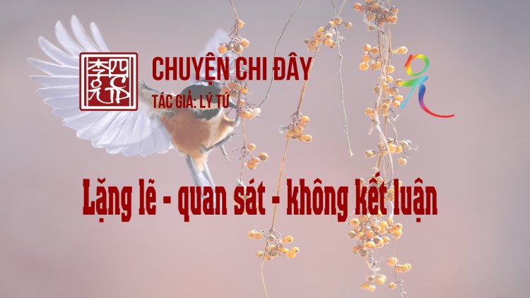 Lặng Lẽ - Quan Sát - Không Kết Luận