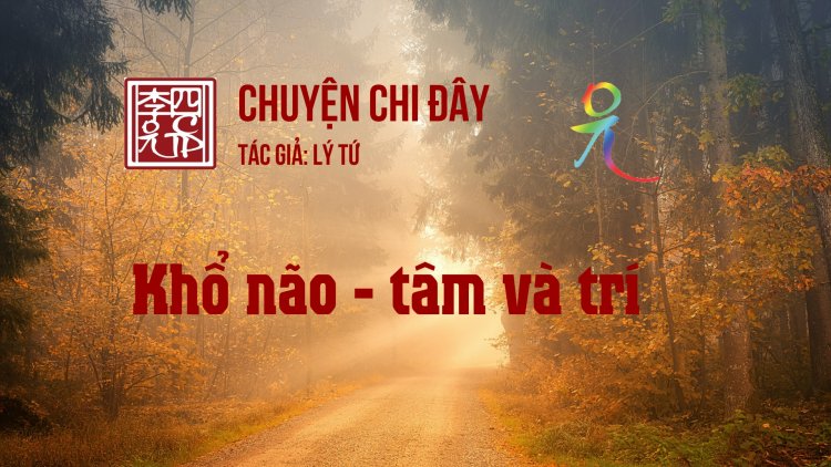 Khổ Não - Tâm Và Trí