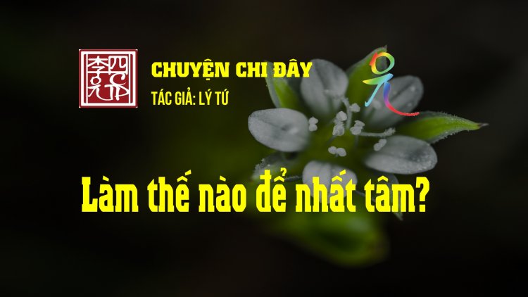 Làm Thế Nào Để Nhất Tâm?