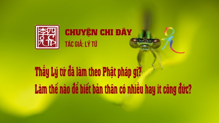 Thầy Lý Tứ Đã Làm Theo Phật Pháp Gì? Làm Thế Nào Để Biết Bản Thân Có Nhiều Hay Ít Công Đức?