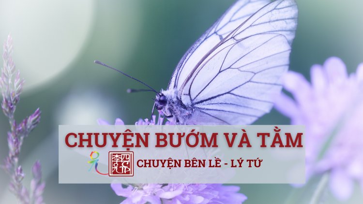 Chuyện Bướm Và Tằm
