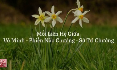 Mối Liên Hệ Giữa Vô Minh - Phiền Não Chướng - Sở Tri Chướng