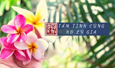 Tâm Tình Cùng HĐ Lý Gia