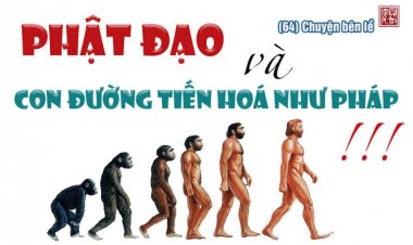Phật Đạo Và Con Đường Tiến Hóa Như Pháp !!!