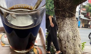 Phiếm Đàm Của Lý Ngọc Hải (Phần 3)!!!
