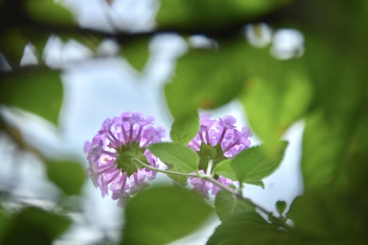 Viết Tiếp Câu Chuyện...Nhân...Văn!!!