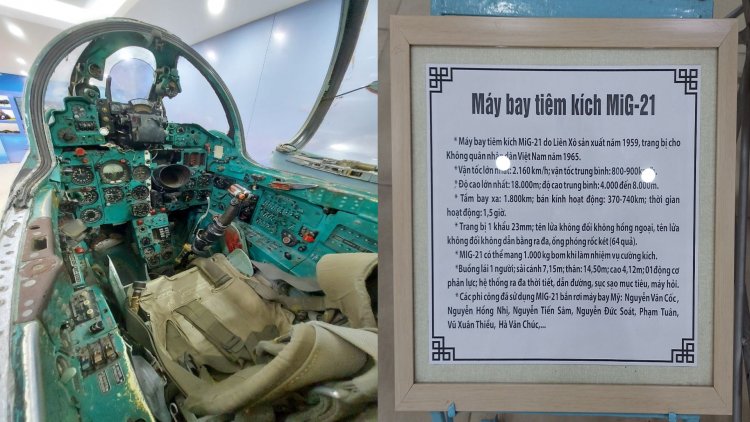 Sự Chuyển Biến Của Tâm Thức Từ Cảnh Giới Của Tam Vô Lậu Học Đến Cảnh Giới Của Tam Giải Thoát Môn