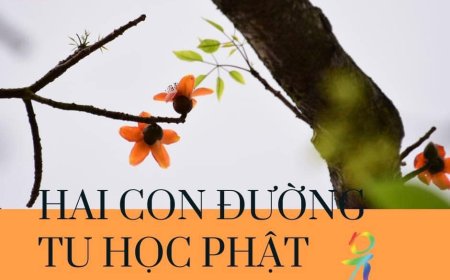 Hai Con Đường Tu Học Phật