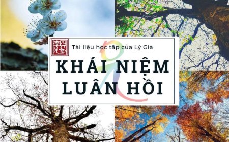 Khái Niệm Luân Hồi