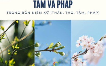 Ý Nghĩa Của Việc Thấu Hiểu Tâm Pháp Trong Tứ Niệm Xứ
