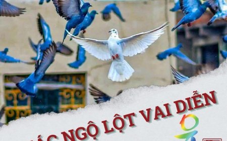 Giác Ngộ Lột Vai Diễn