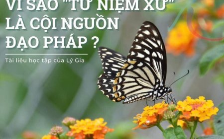 Vì Sao Tứ Niệm Xứ Là Cội Nguồn Của Đạo Pháp