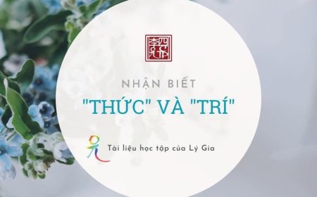 Nhận Biết Thức Và Trí