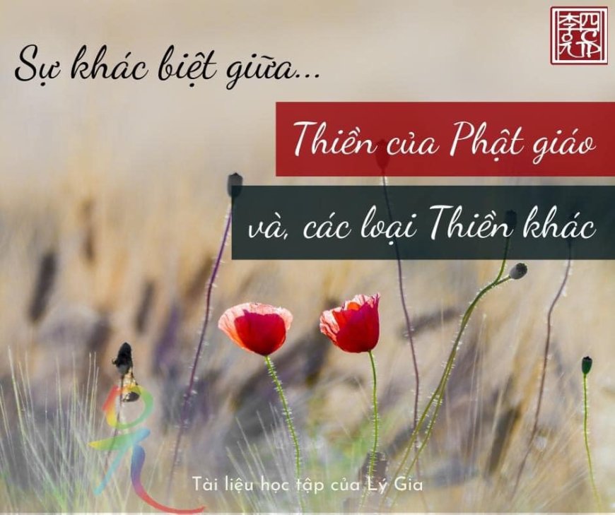 Sự Khác Biệt Giữa Thiền Của Phật Giáo Và Các Loại Thiền Khác