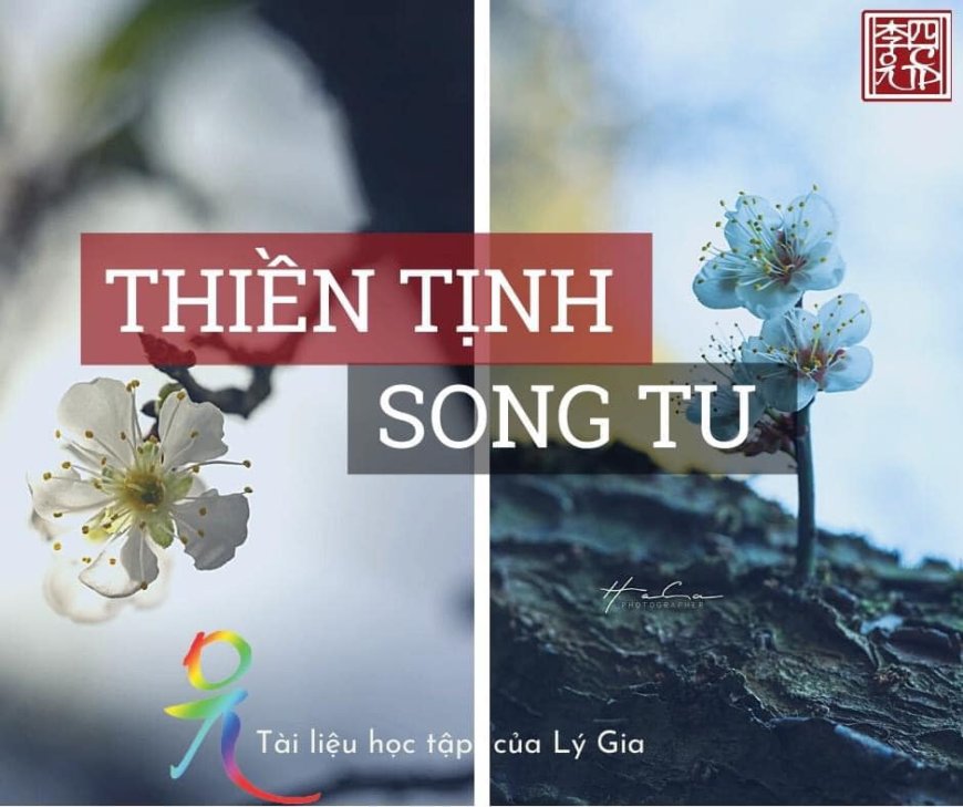 Thiền Tịnh Song Tu