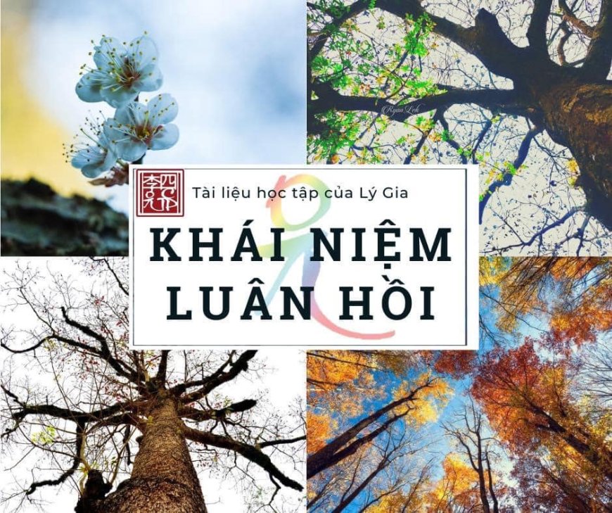 Khái Niệm Luân Hồi
