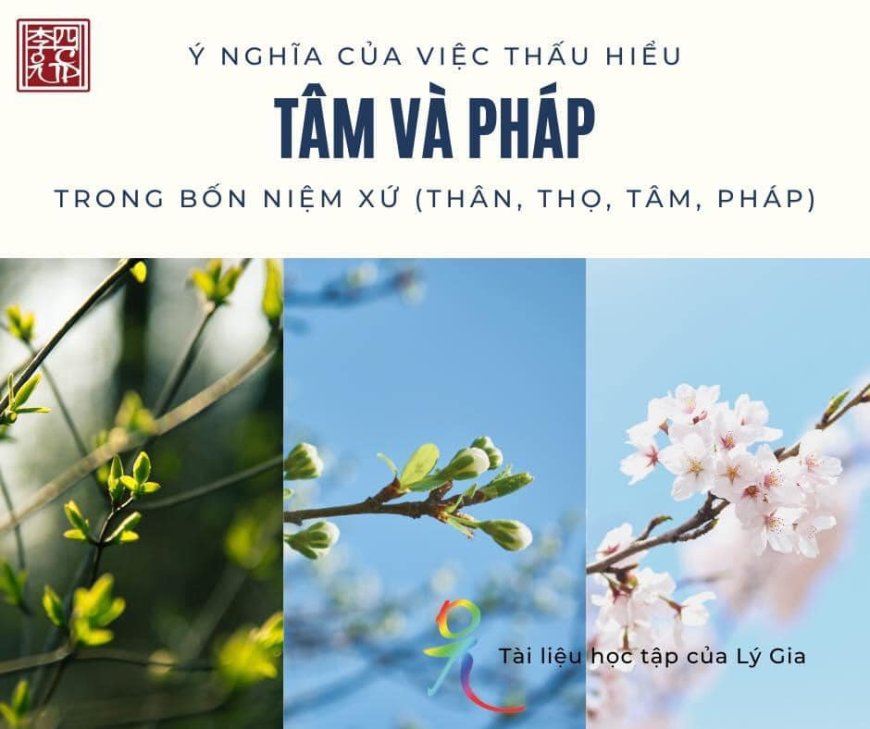 Ý Nghĩa Của Việc Thấu Hiểu Tâm Pháp Trong Tứ Niệm Xứ