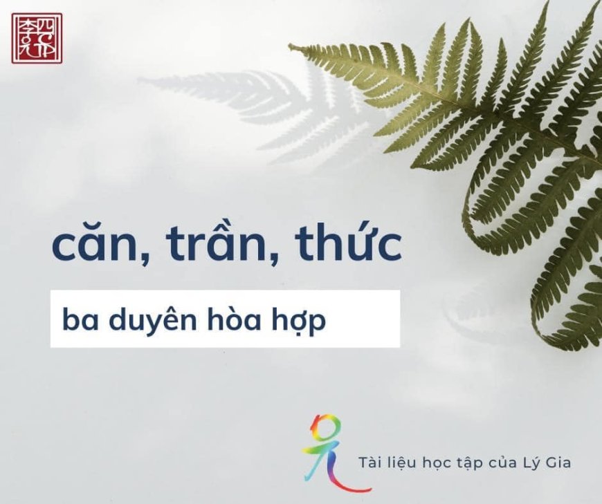 Căn, Trần, Thức, Ba Duyên Hòa Hợp