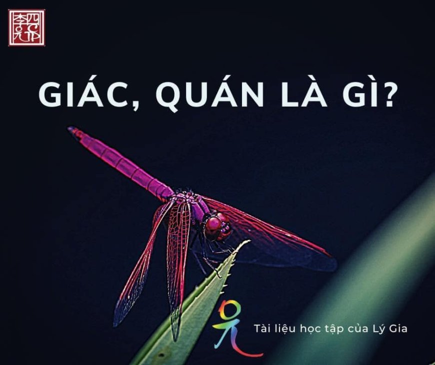 Giác, Quán Là Gì