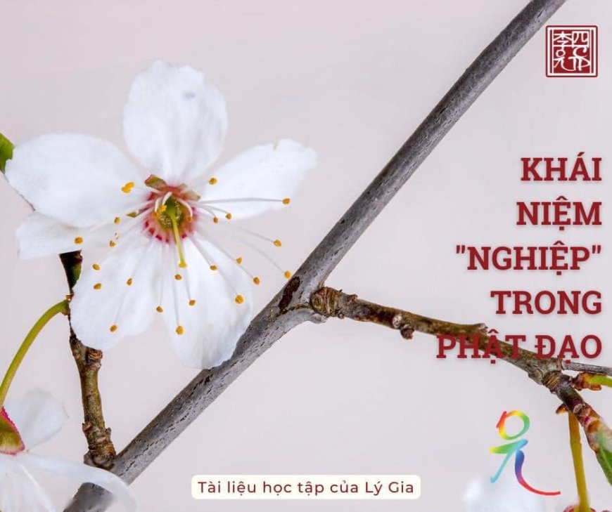 Khái Niệm Nghiệp Trong Phật Đạo