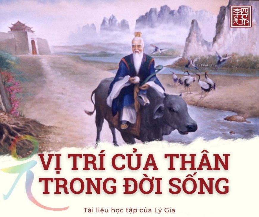 Xác Lập Vị Trí Của Thân Trong Đời Sống