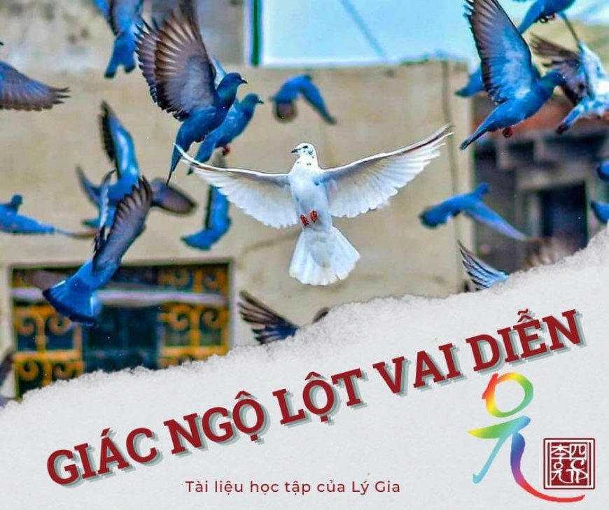 Giác Ngộ Lột Vai Diễn