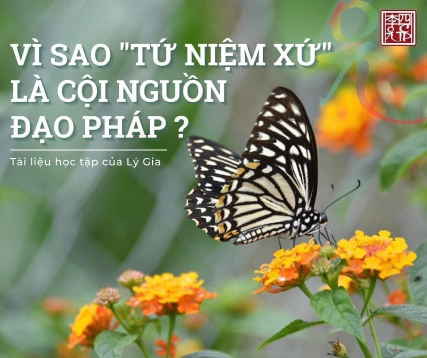 Vì Sao Tứ Niệm Xứ Là Cội Nguồn Của Đạo Pháp
