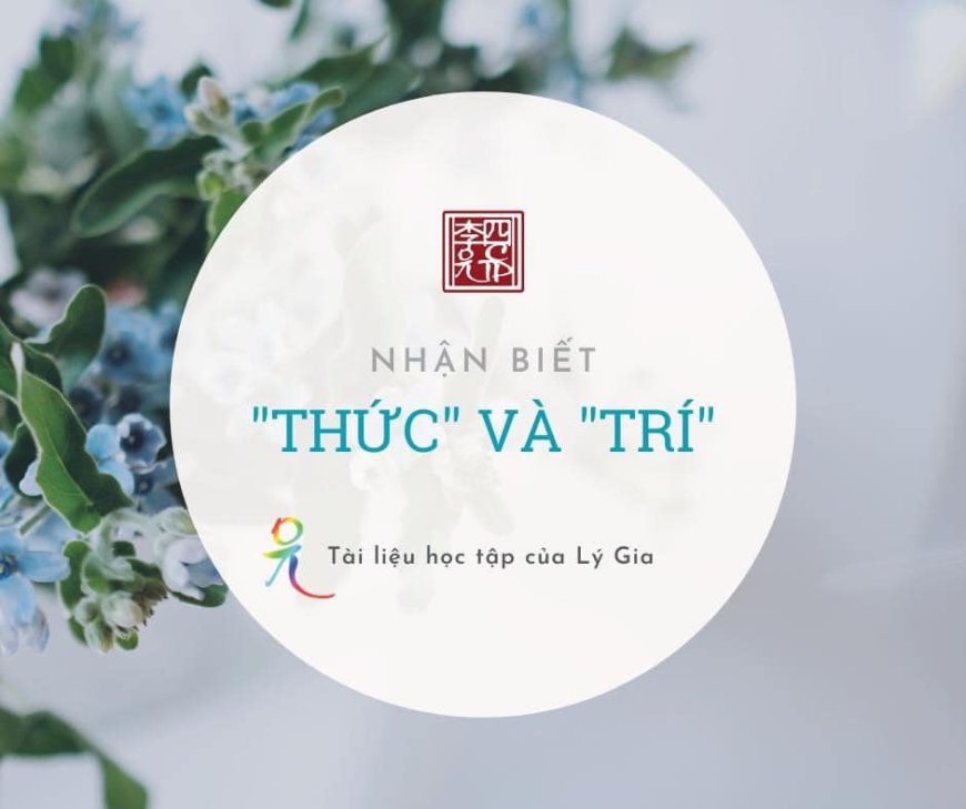 Nhận Biết Thức Và Trí