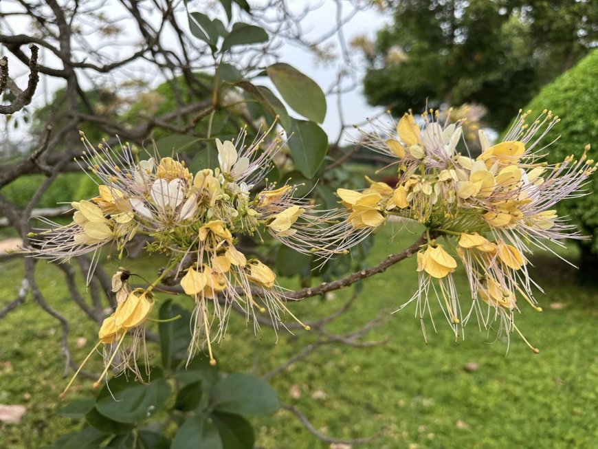 Làm Thế Nào Để Không Sinh Tâm