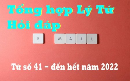 Tổng Hợp Lý Tứ Hỏi Đáp 2020-2022