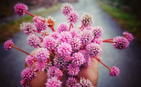 Bản Tin Lý Gia 10 Ngày Qua: Những Tin Nhắn Có Mùi Vị Hạnh Phúc