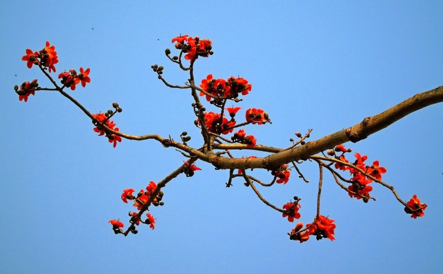 Cảm Xúc Tháng Ba