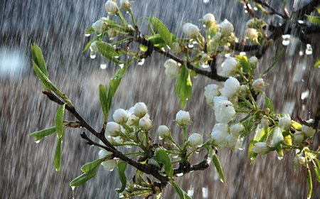 Tản Mạn Trước Giờ Bóng Lăn